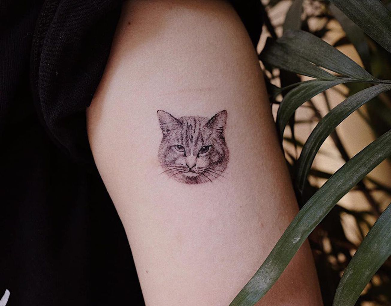 Chun Hack Tattoo 0 gallaries