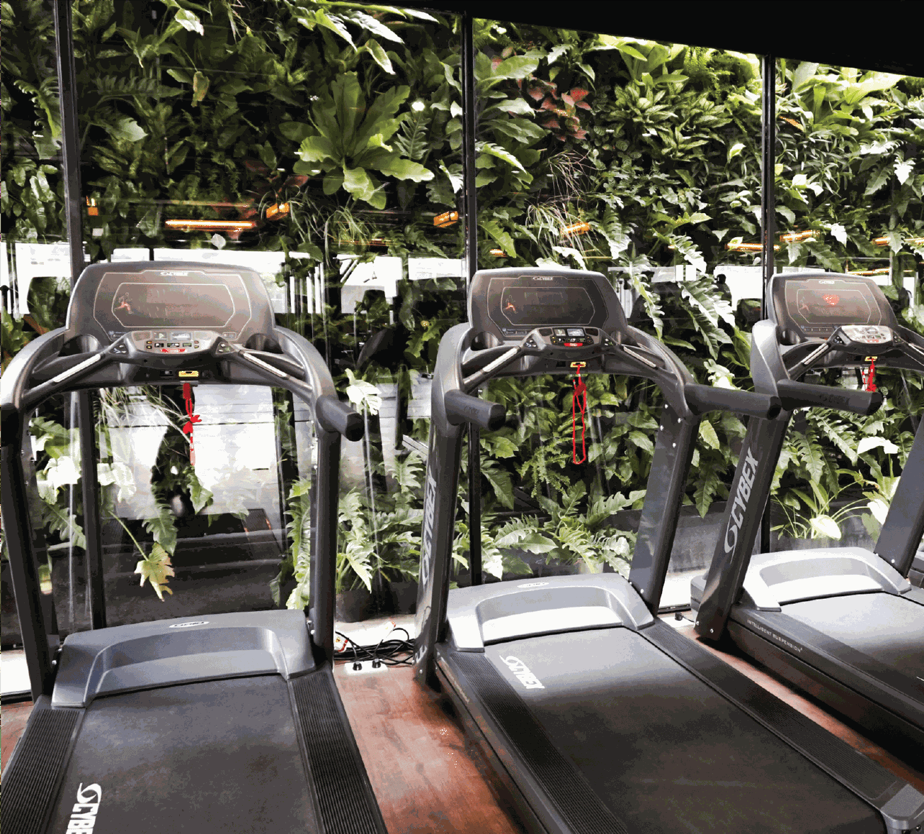 Fit24 - Fitness & Yoga Center - Thiên Sơn Plaza 3 gallaries