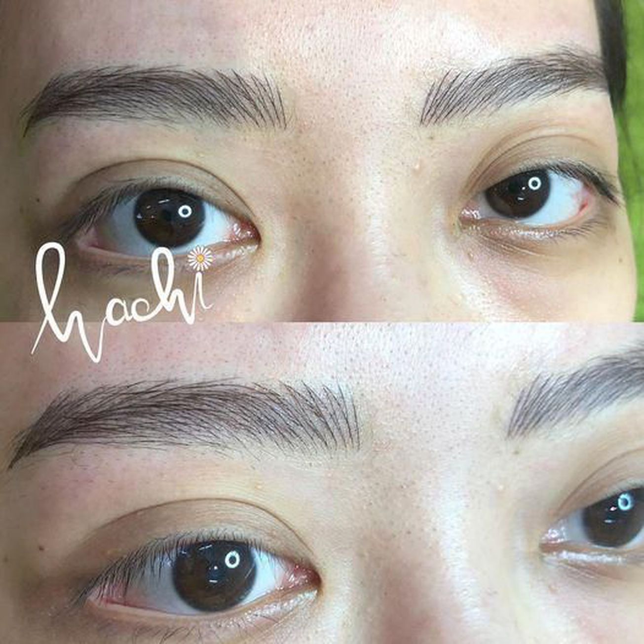 HACHI Beauty 5 gallaries