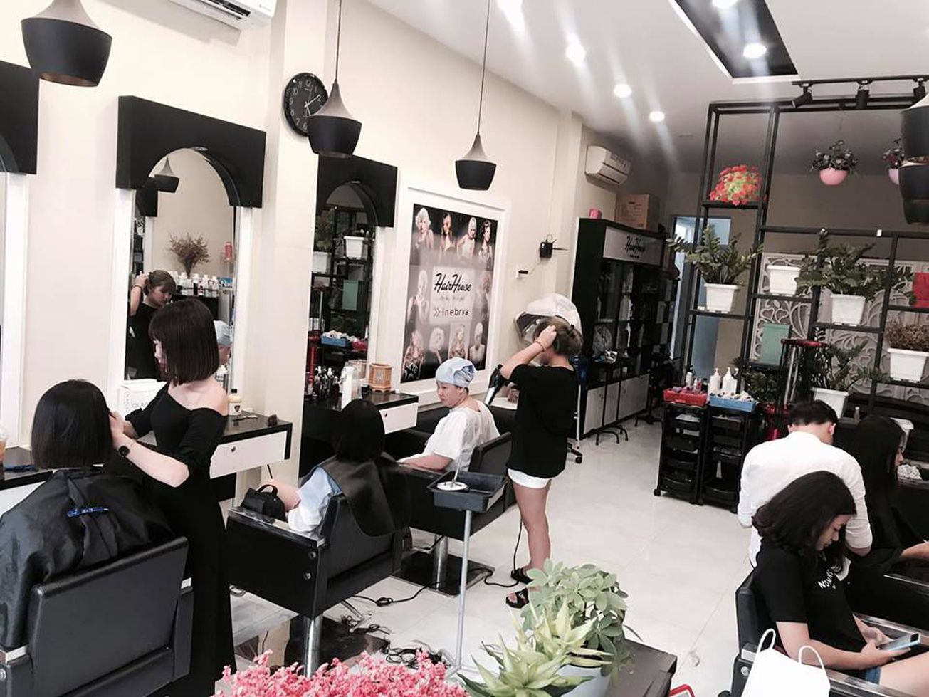 HairHouse Profession 2 gallaries