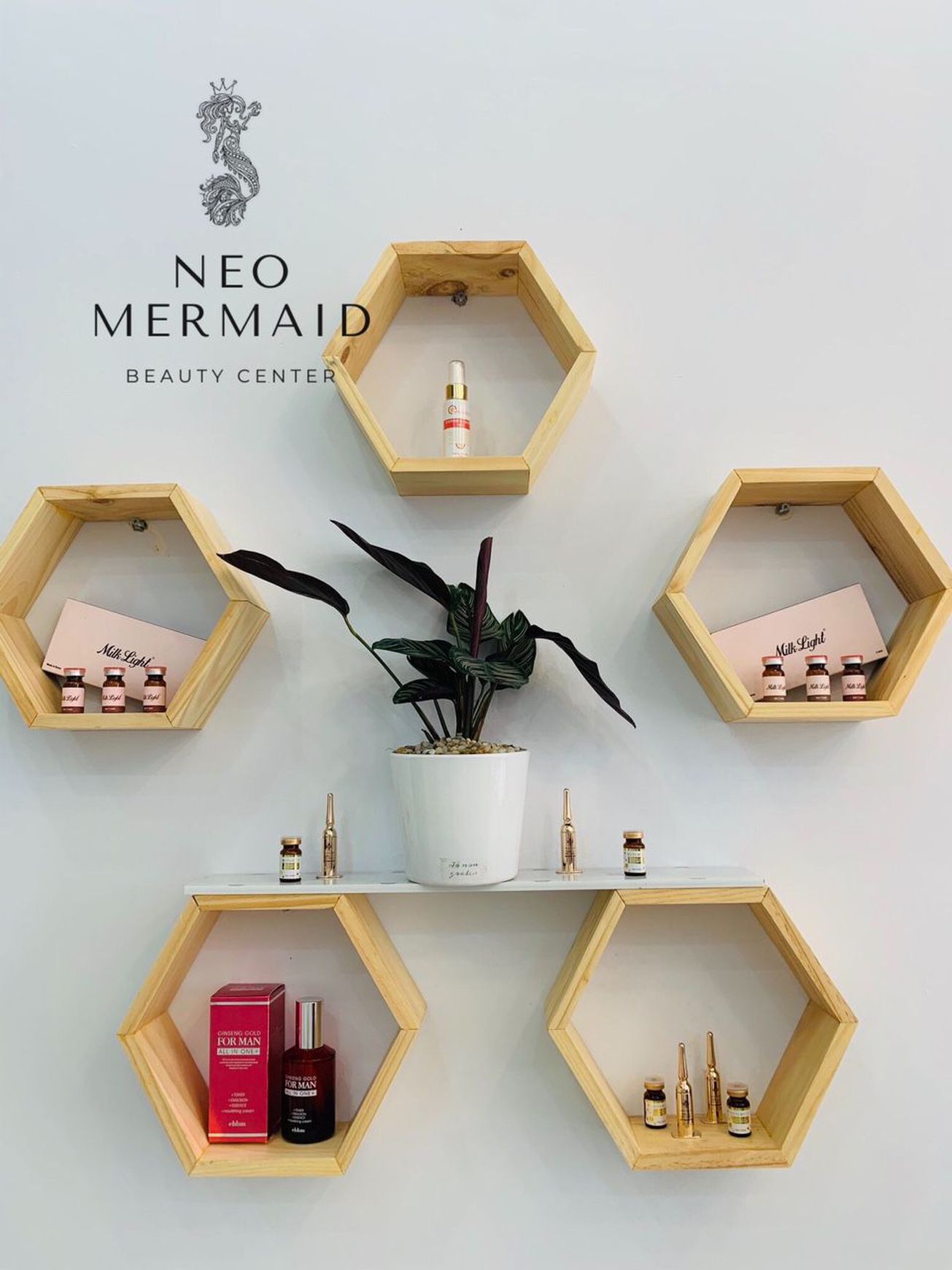 NEO Mermaid Beauty - CMT8 0 gallaries