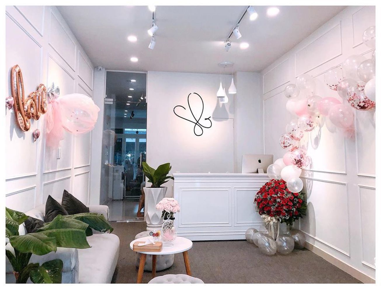 Swan De Beaute 0 gallaries