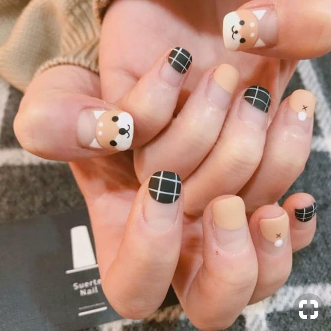The Nail 1 gallaries