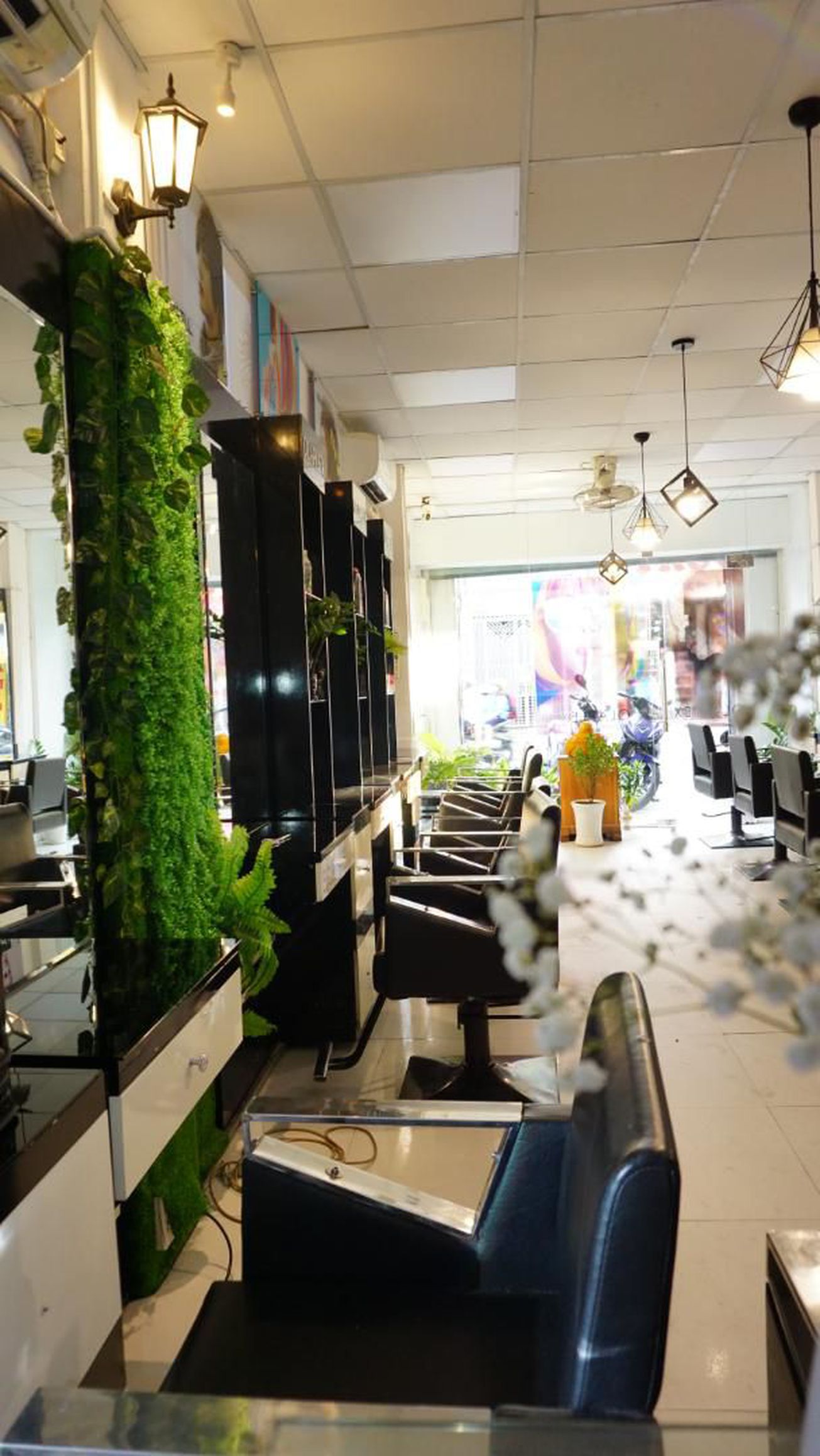 Trí Color Salon 5 gallaries
