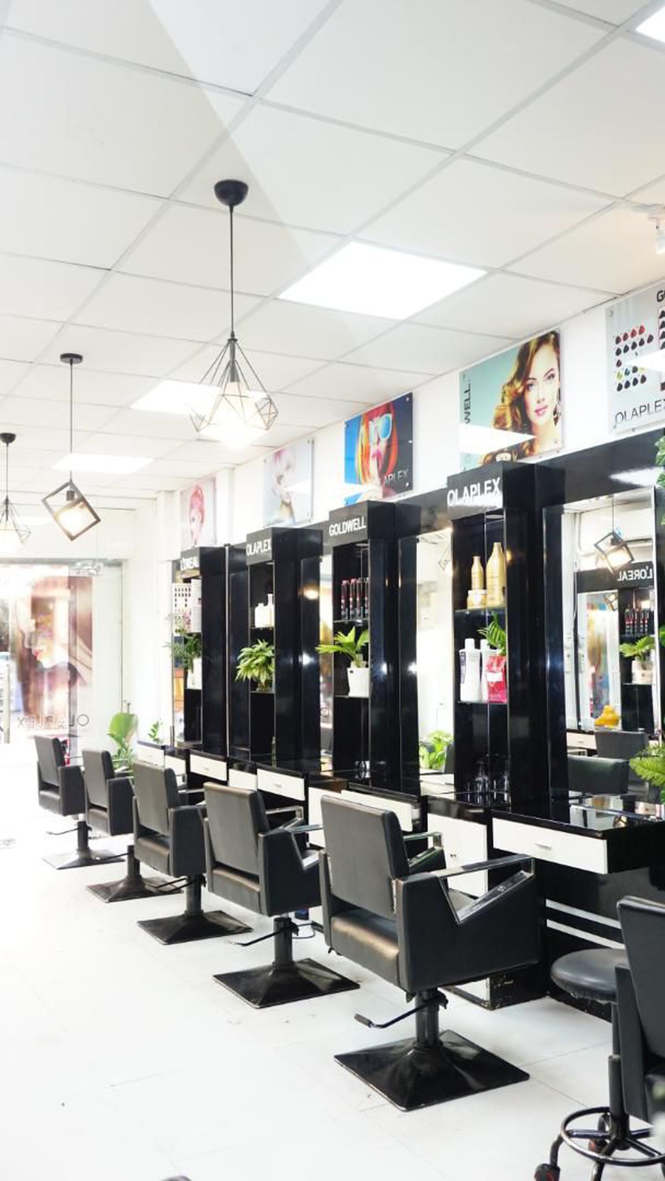 Trí Color Salon 3 gallaries
