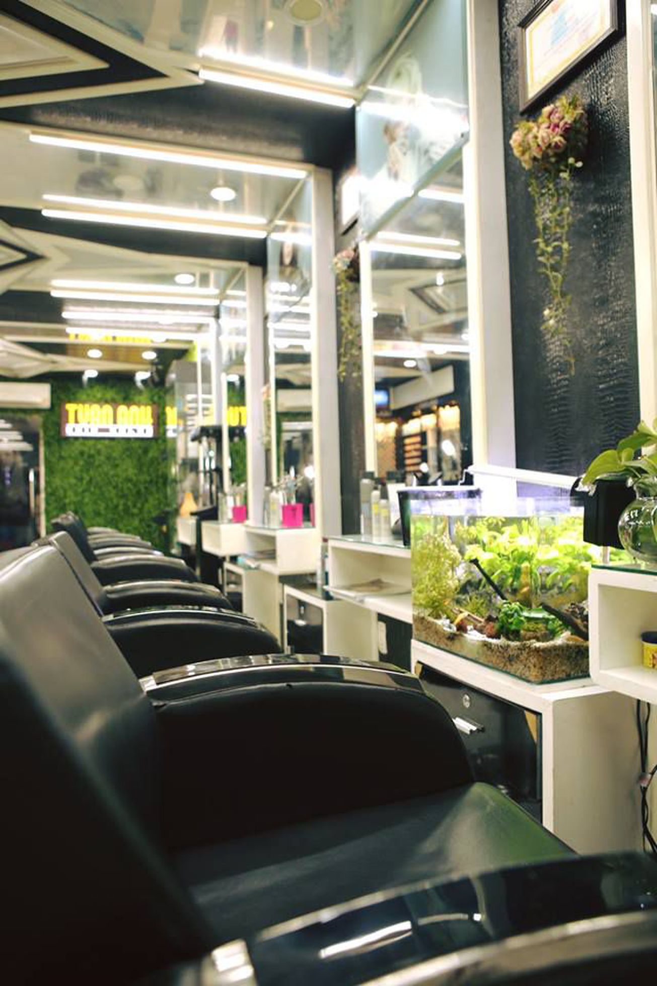 Tuấn Anh Hair Salon - Nguyễn Hữu Hào 0 gallaries